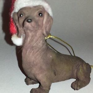 Dachshund Dog American Canine Ornament NEW